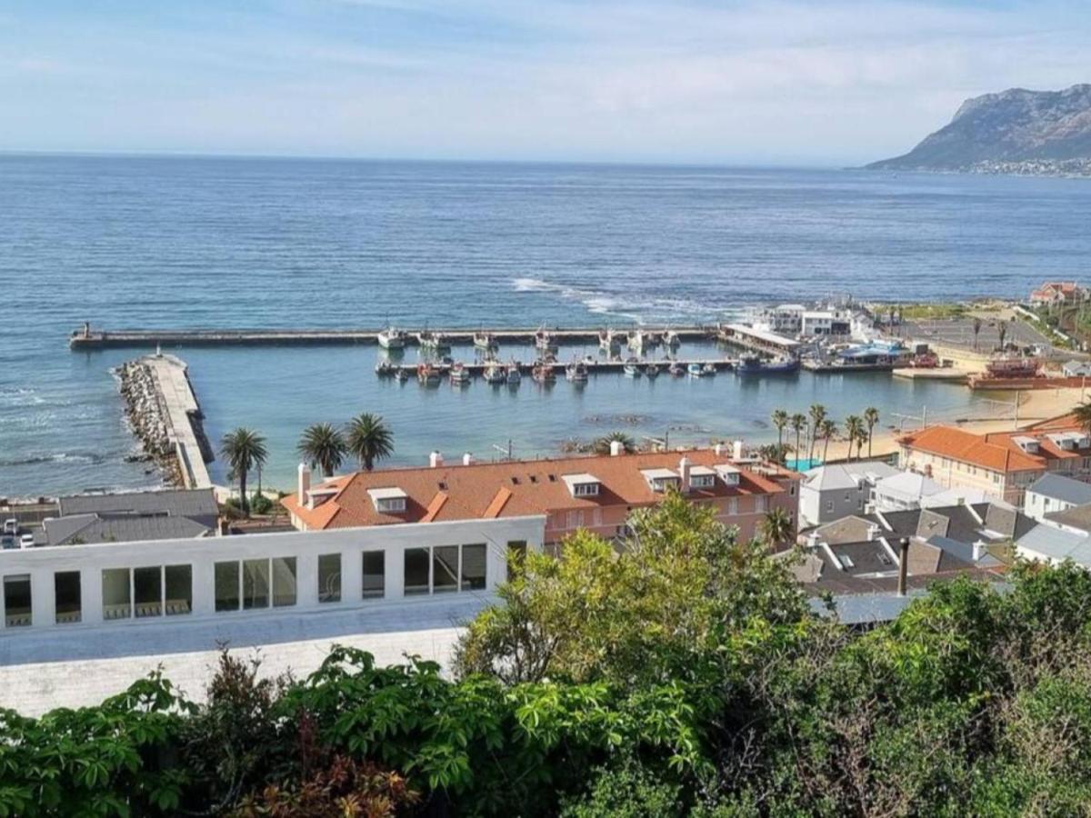 The Dragon Tree Guesthouse Kalk Bay Εξωτερικό φωτογραφία
