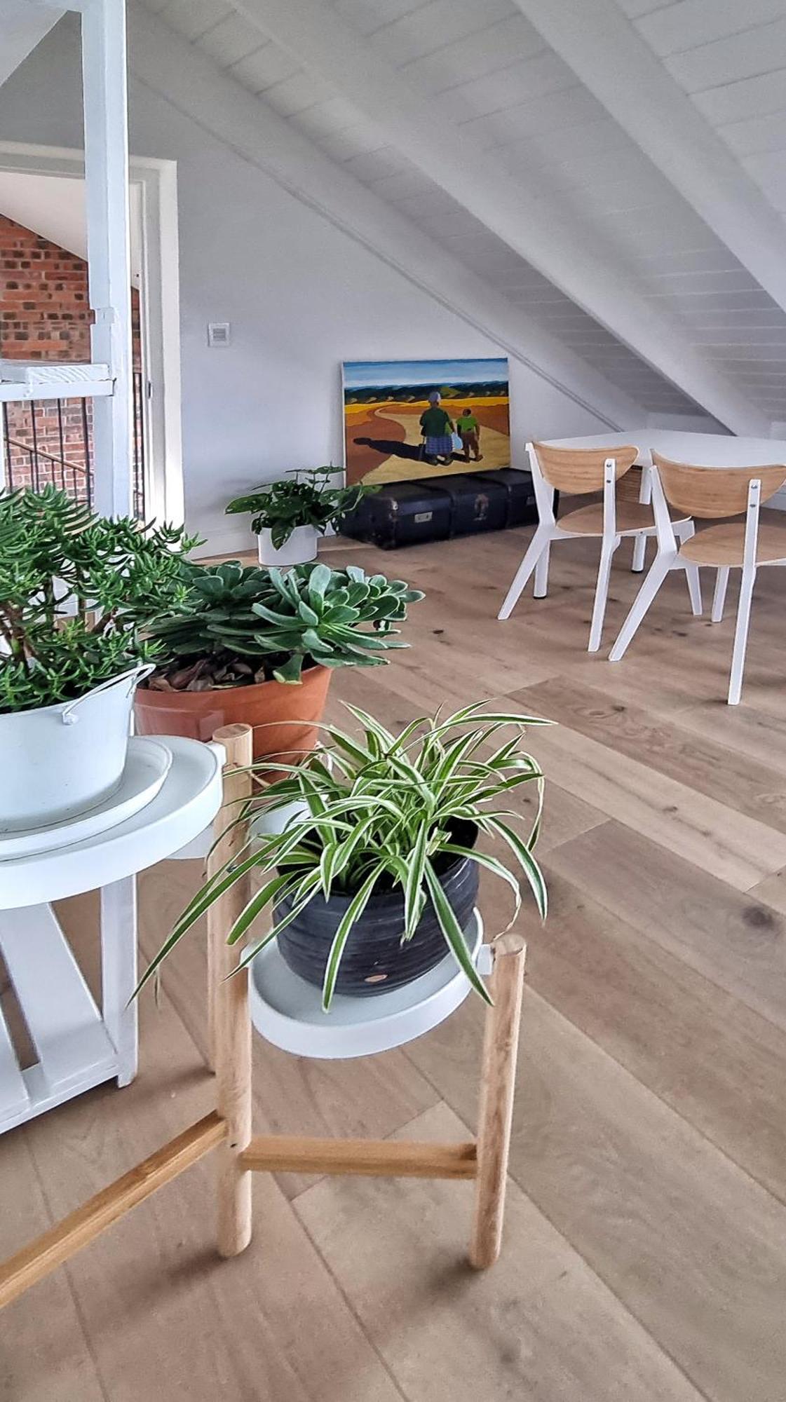 The Dragon Tree Guesthouse Kalk Bay Εξωτερικό φωτογραφία