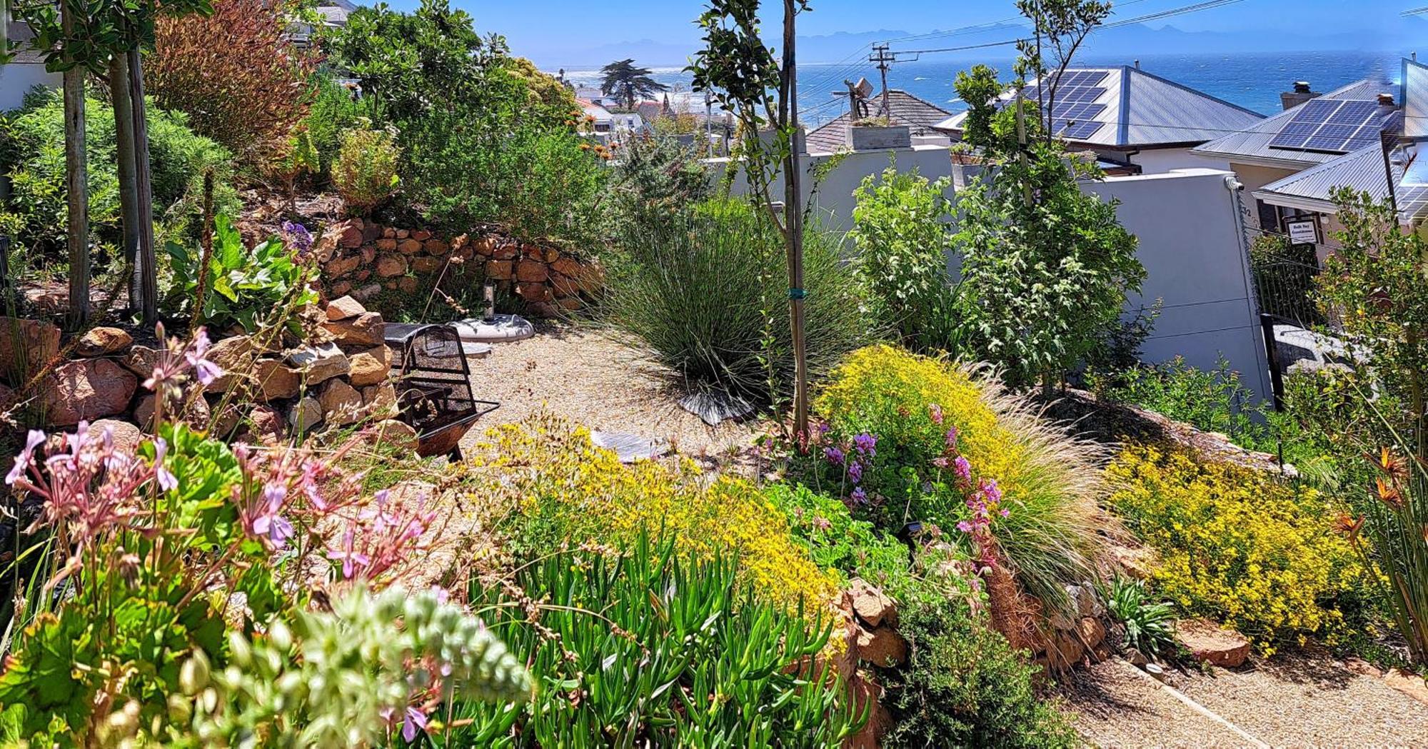 The Dragon Tree Guesthouse Kalk Bay Εξωτερικό φωτογραφία