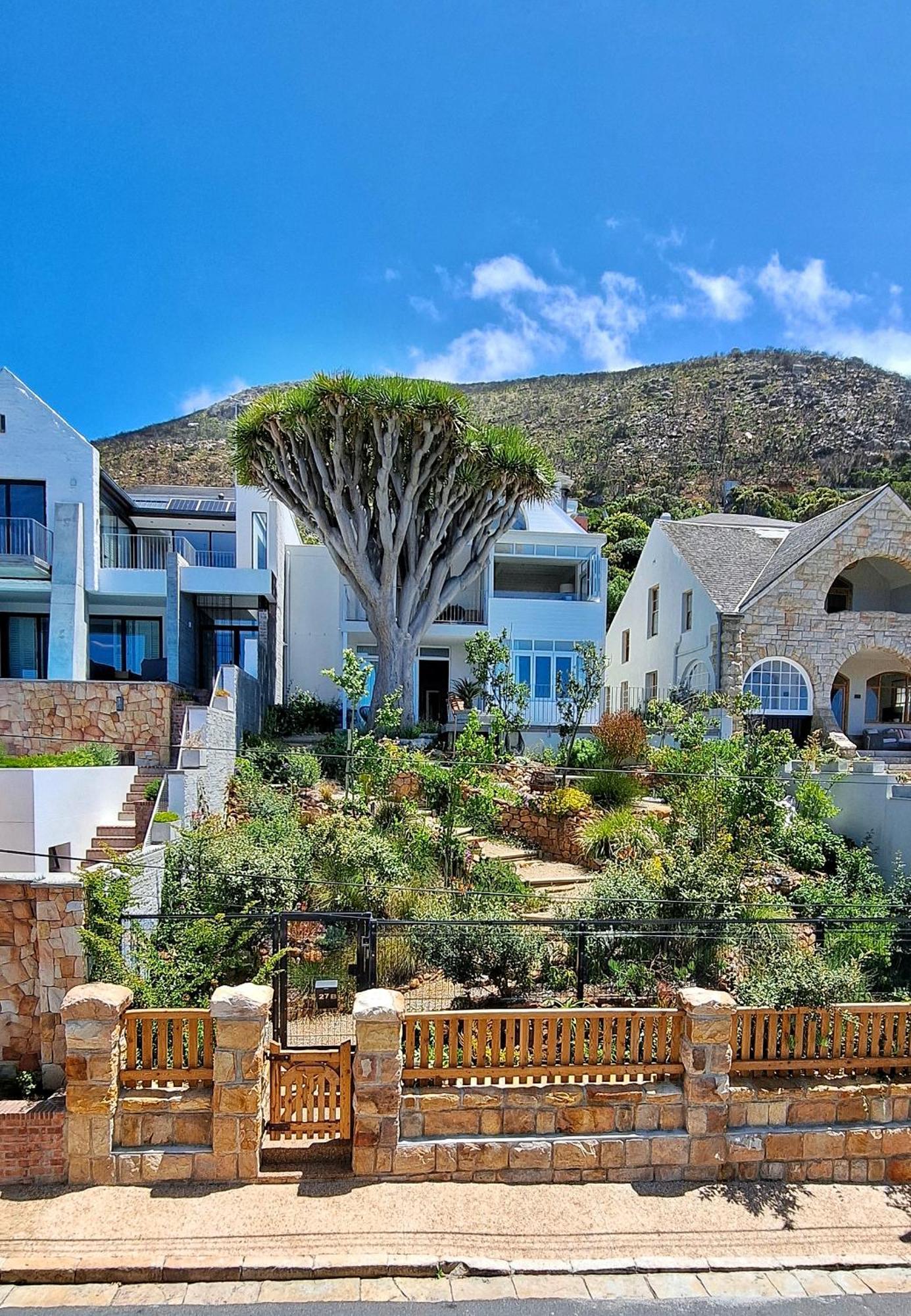 The Dragon Tree Guesthouse Kalk Bay Εξωτερικό φωτογραφία