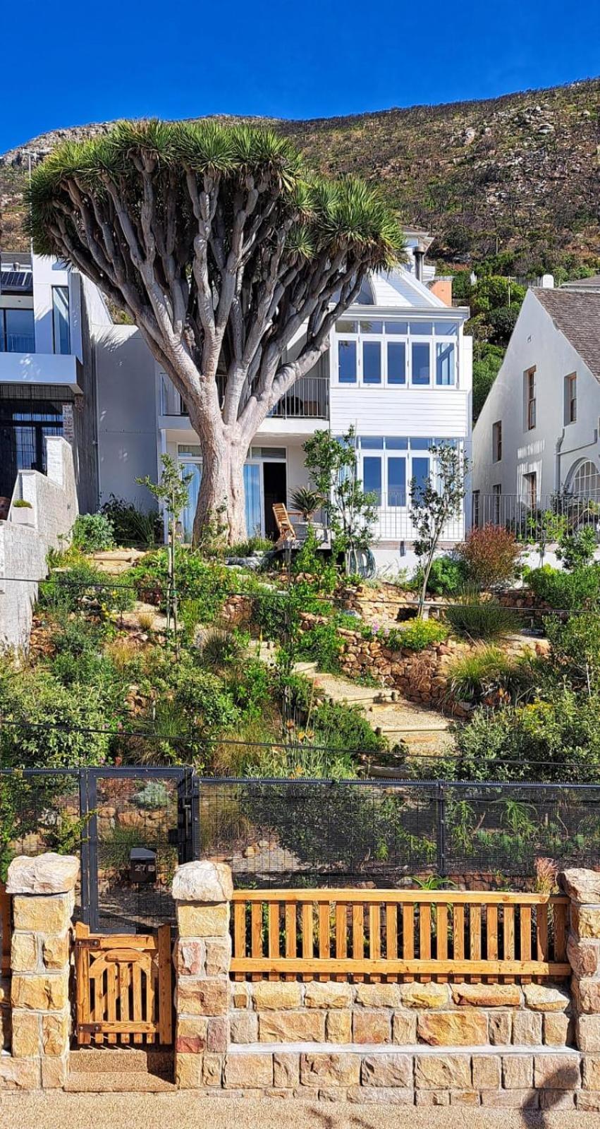 The Dragon Tree Guesthouse Kalk Bay Εξωτερικό φωτογραφία